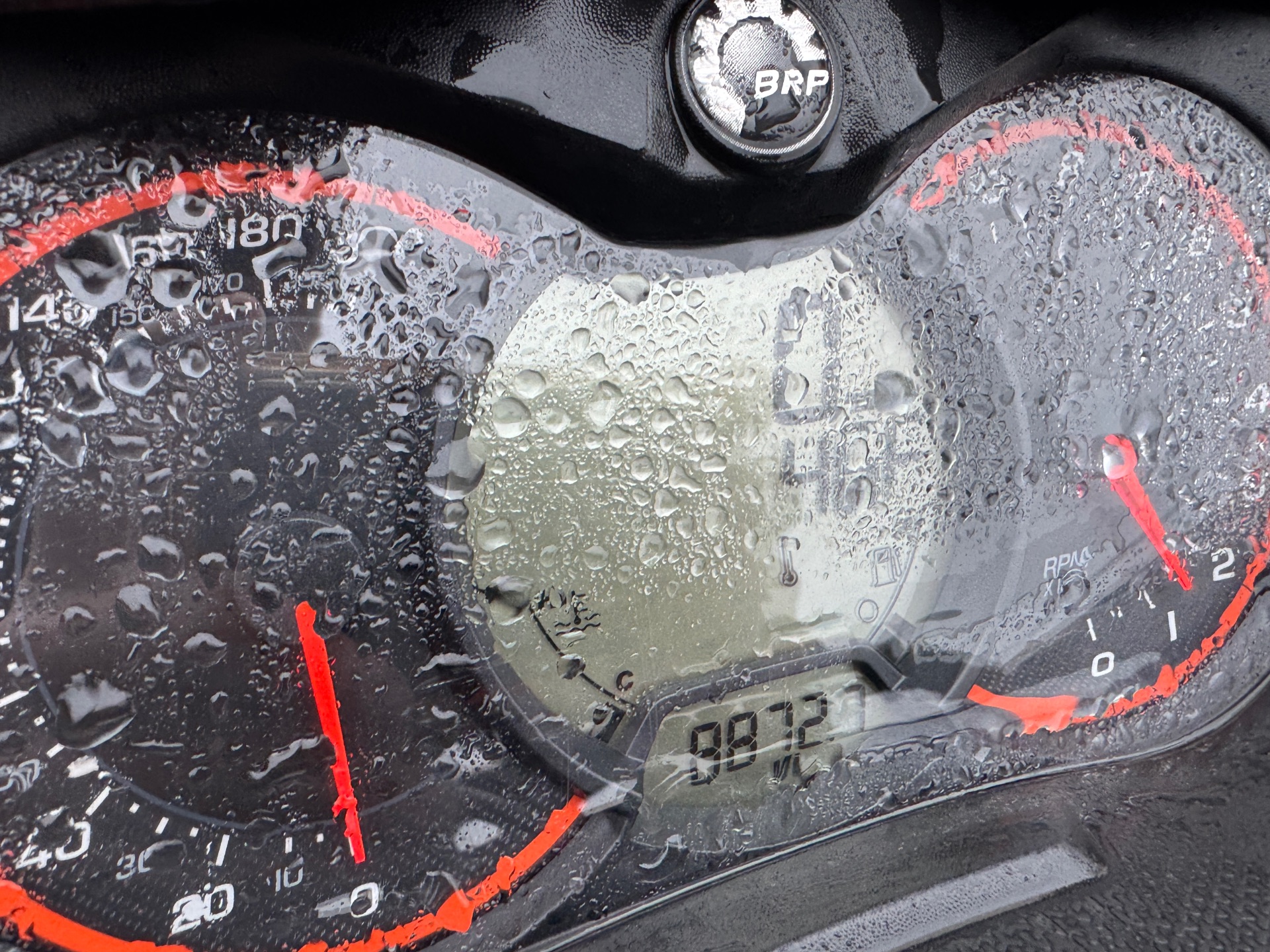 2019 Ski-Doo MXZ Blizzard 850 E-TEC in Roscoe, Illinois - Photo 6