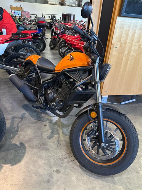 2024 Honda Rebel 300 in Davenport, Iowa