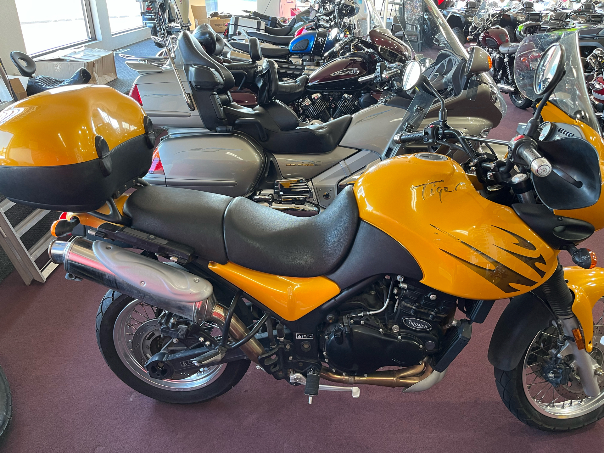 1999 Triumph Tiger 885I in Belle Plaine, Minnesota - Photo 1