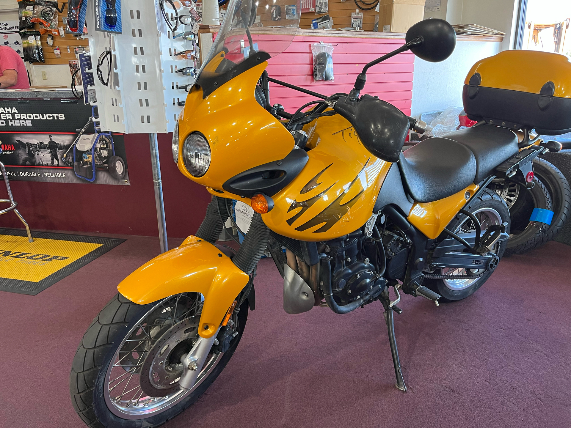 1999 Triumph Tiger 885I in Belle Plaine, Minnesota - Photo 3