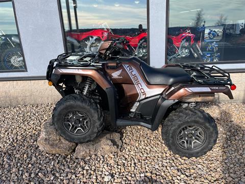 2021 Honda FourTrax Foreman Rubicon 4x4 Automatic DCT EPS Deluxe in Belle Plaine, Minnesota