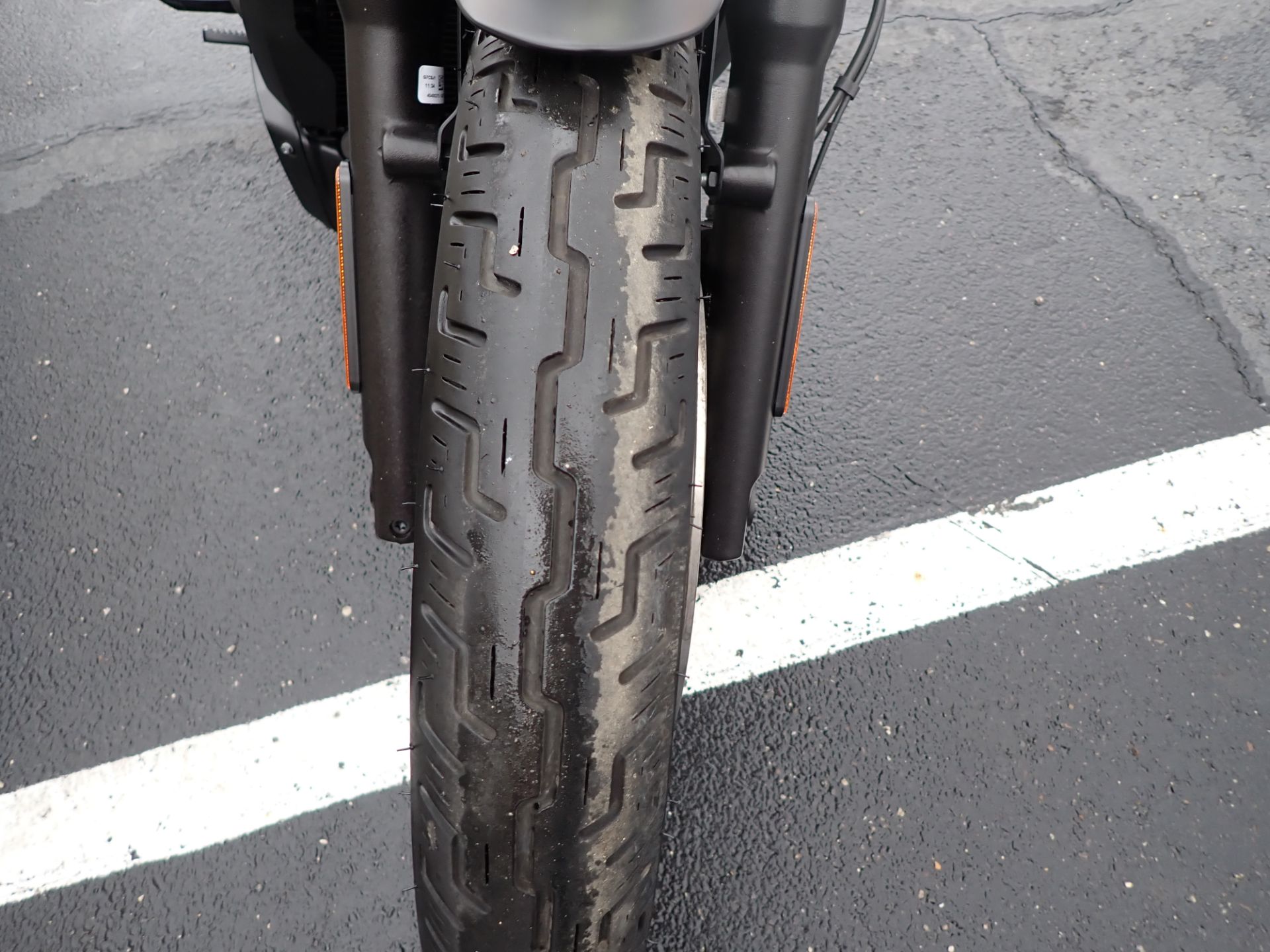 2023 Harley-Davidson Nightster® Special in Massillon, Ohio - Photo 8