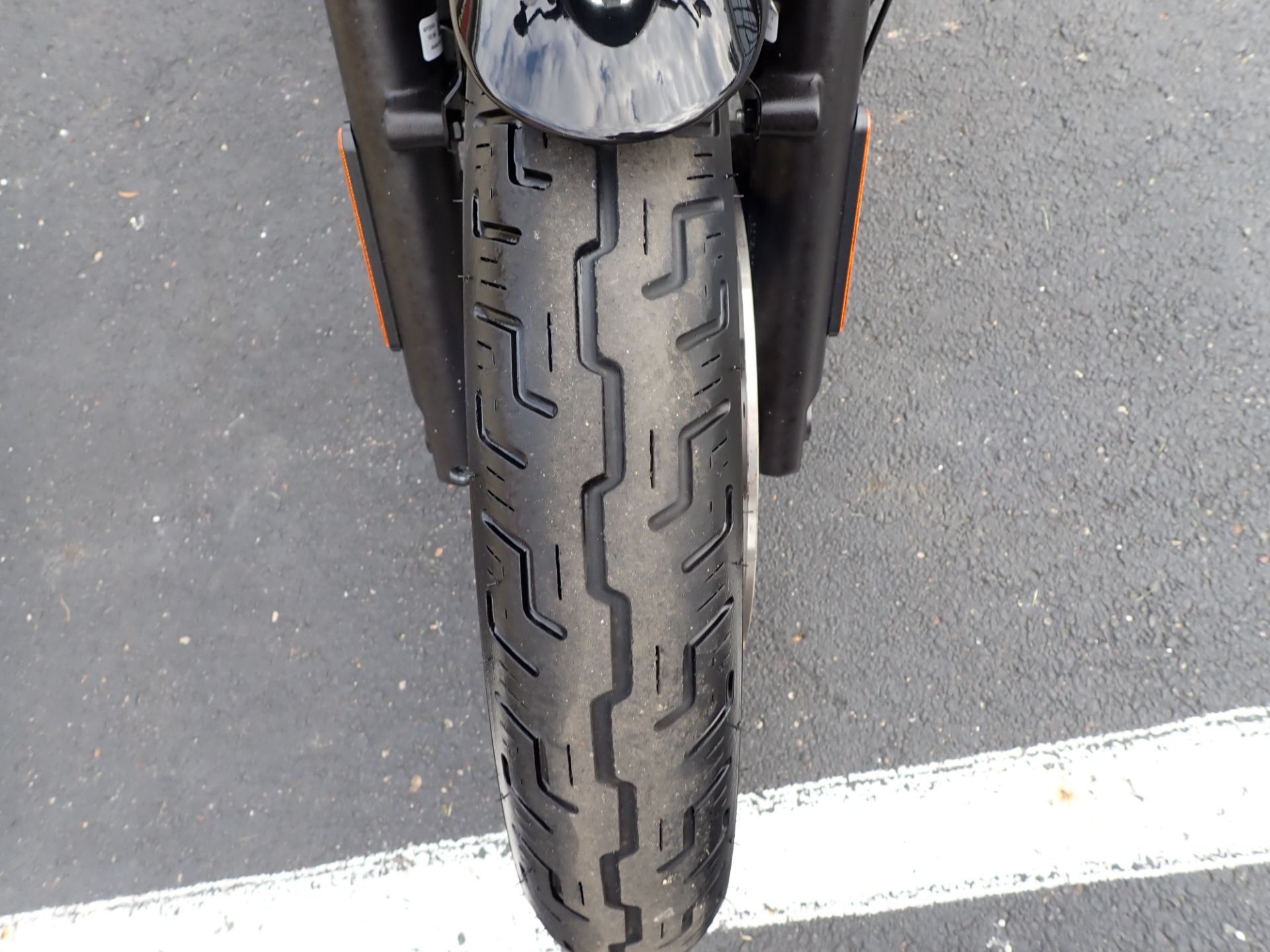 2023 Harley-Davidson Nightster® in Massillon, Ohio - Photo 8