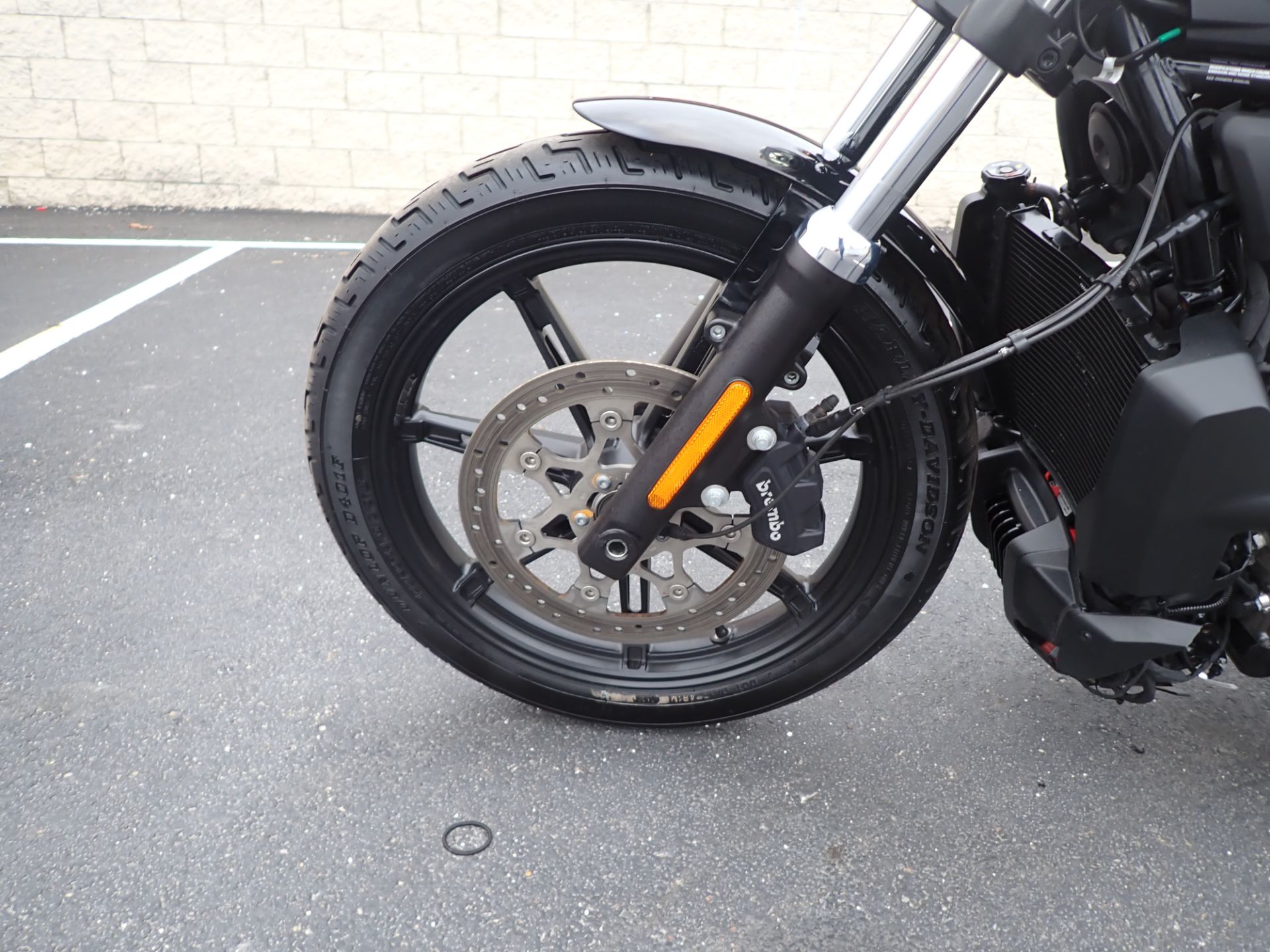 2023 Harley-Davidson Nightster® in Massillon, Ohio - Photo 14