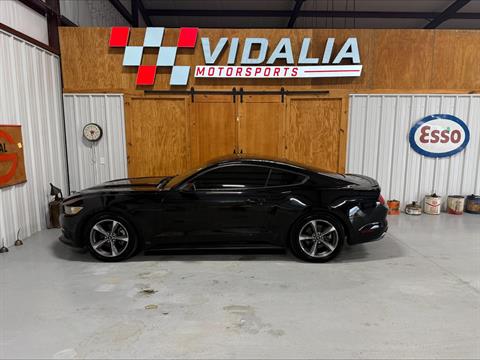 2015 Ford Mustang V6's photo