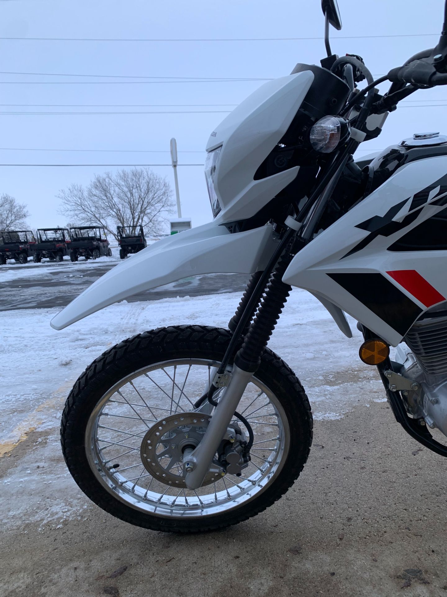2024 Honda XR150L in Freeport, Illinois - Photo 6