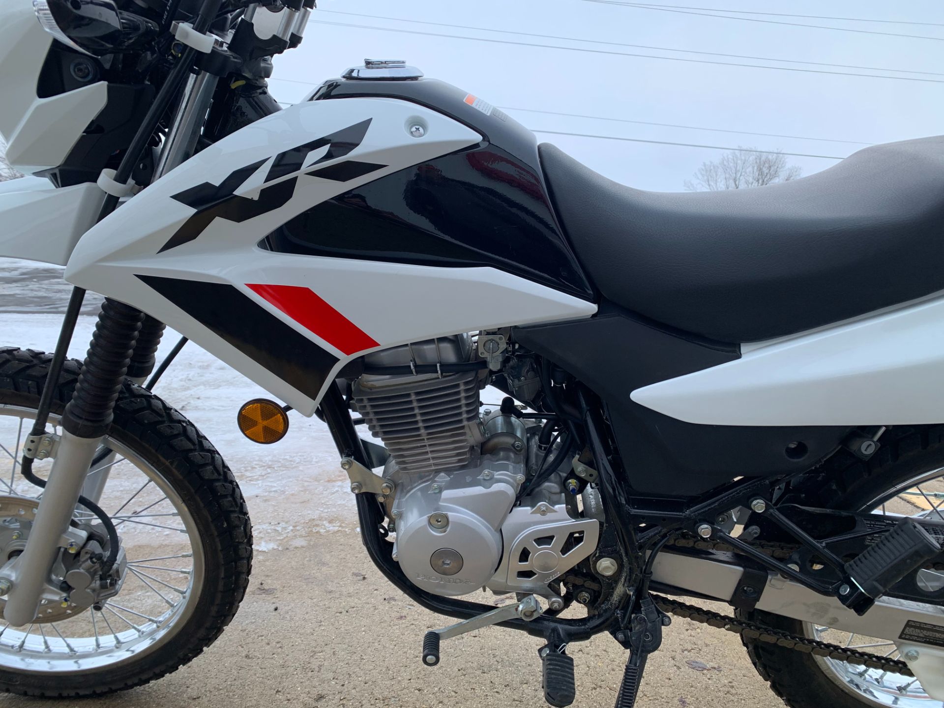 2024 Honda XR150L in Freeport, Illinois - Photo 7