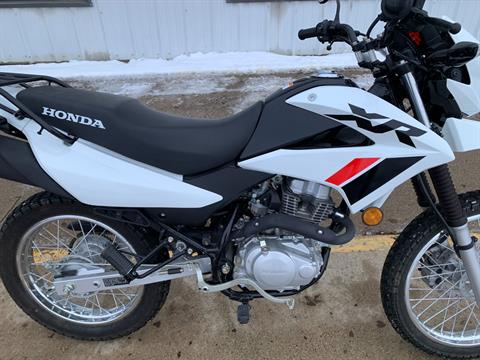 2024 Honda XR150L in Freeport, Illinois - Photo 13