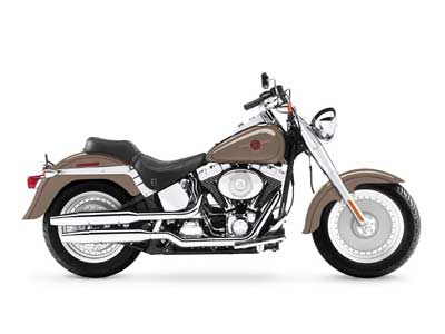 2005 Harley-Davidson FLSTF/FLSTFI Fat Boy 