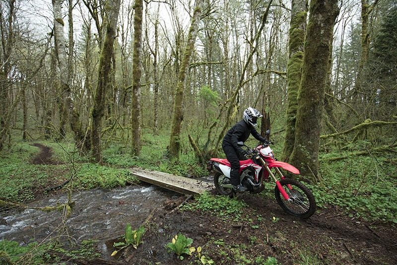 2019 Honda CRF450L in Davenport, Iowa - Photo 8