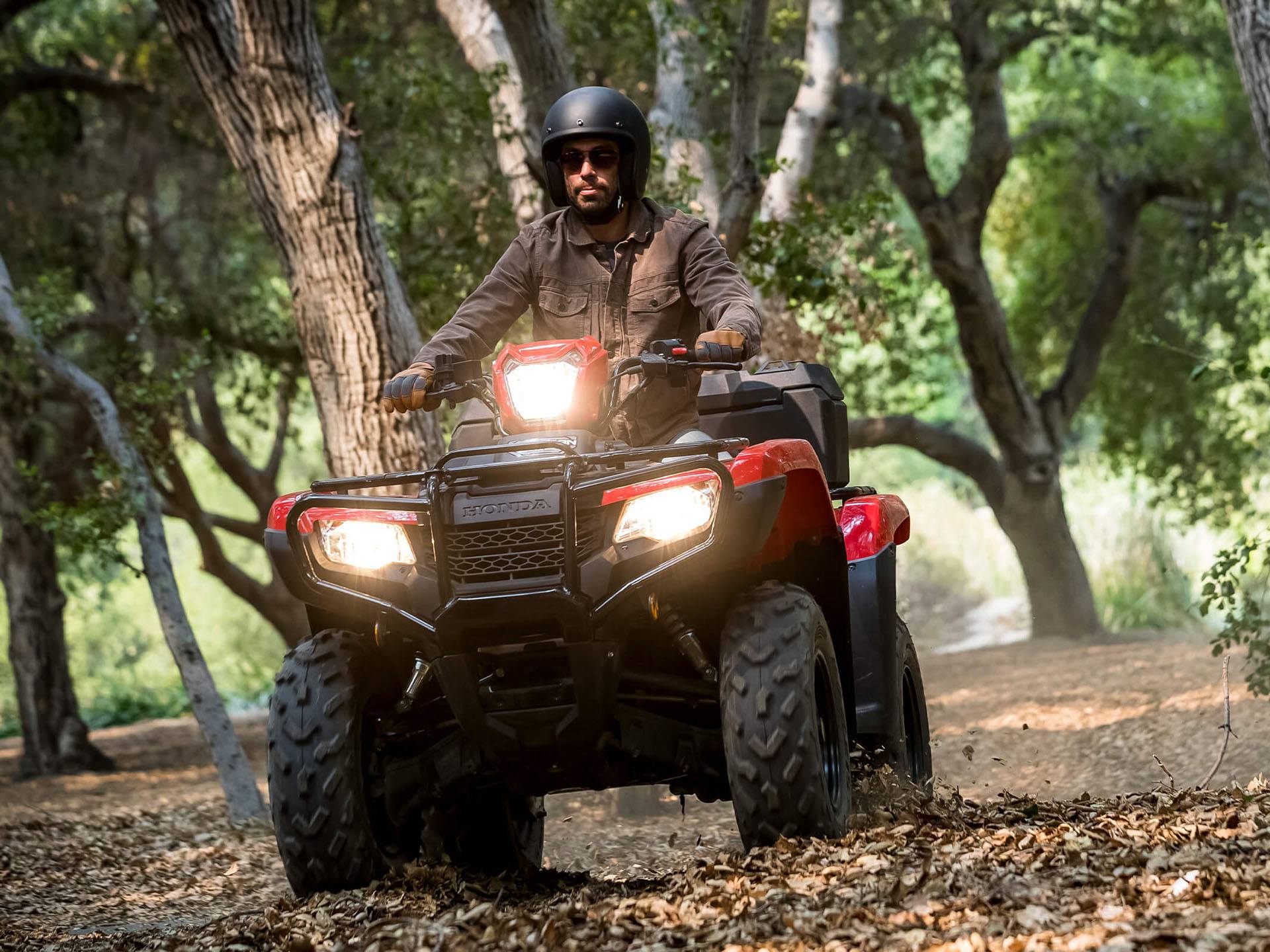 2023 Honda FourTrax Foreman 4x4 in Freeport, Illinois - Photo 2
