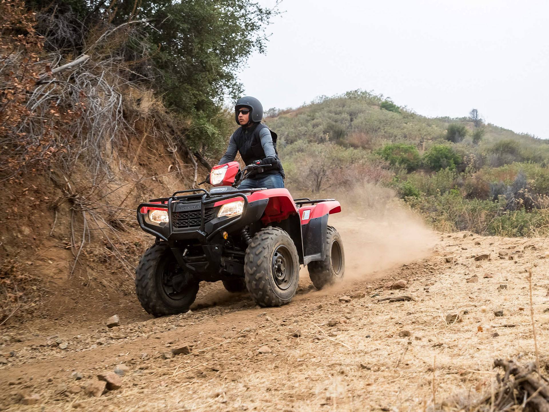 2023 Honda FourTrax Foreman 4x4 in Freeport, Illinois - Photo 7