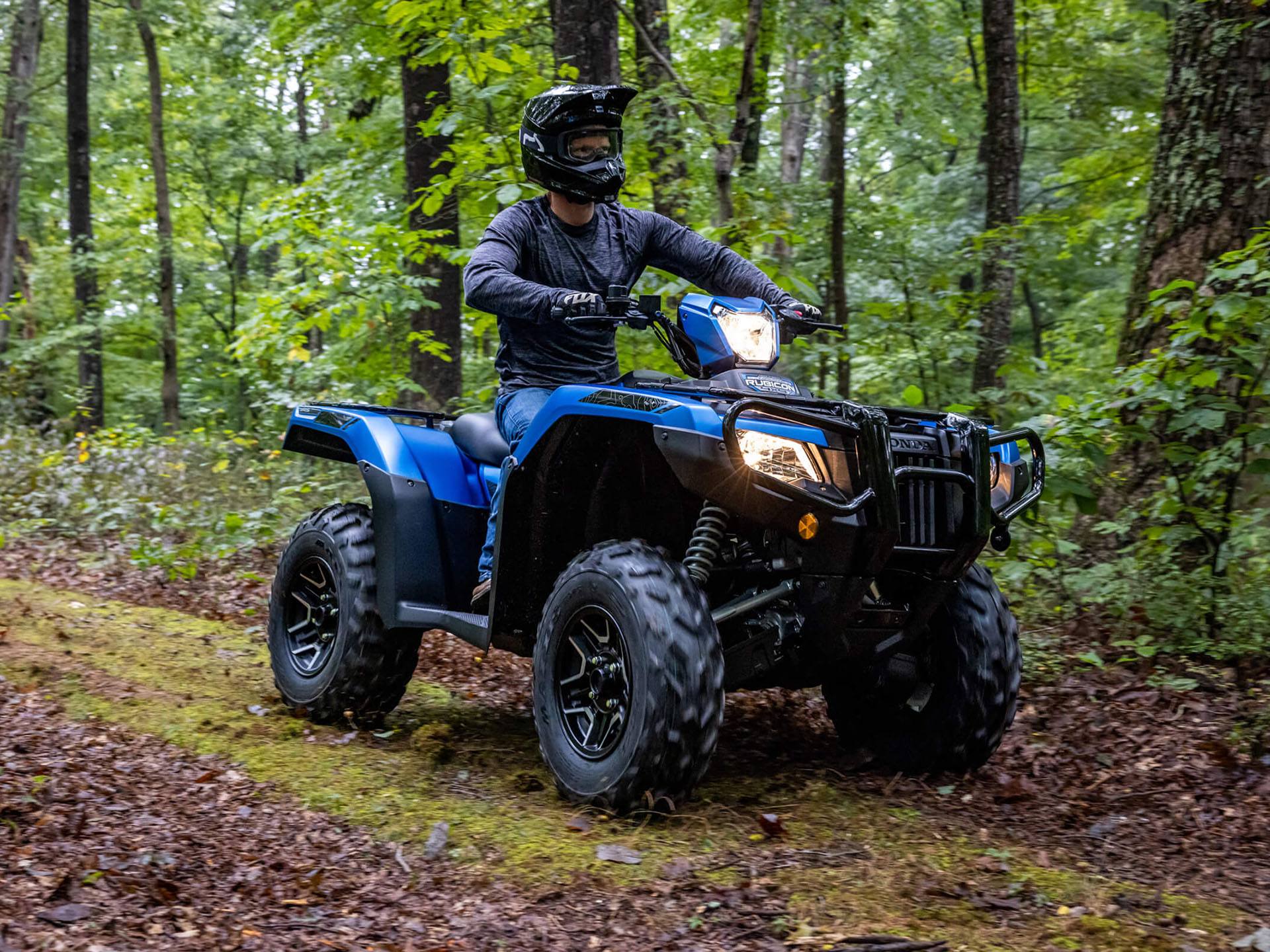 2023 Honda FourTrax Foreman Rubicon 4x4 Automatic DCT in Massillon, Ohio - Photo 10