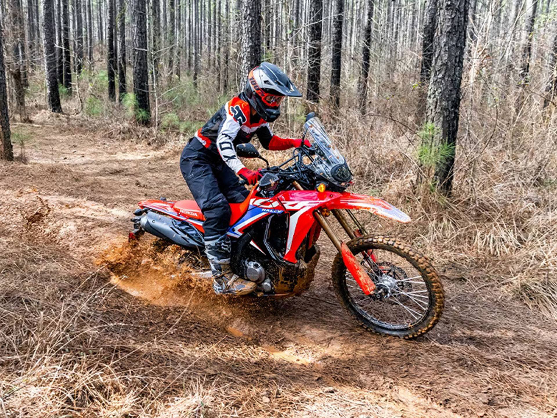 2023 Honda CRF300L Rally in Davenport, Iowa - Photo 6