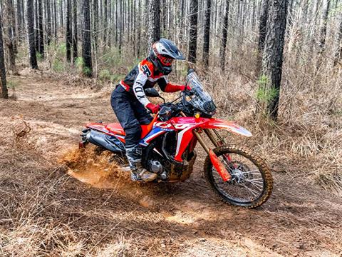 2023 Honda CRF300L Rally in Davenport, Iowa - Photo 6