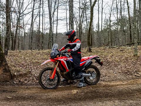 2023 Honda CRF300L Rally in Davenport, Iowa - Photo 7