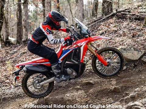 2023 Honda CRF300L Rally in Davenport, Iowa - Photo 10