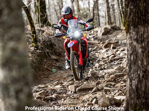 2023 Honda CRF300L Rally in Davenport, Iowa - Photo 11