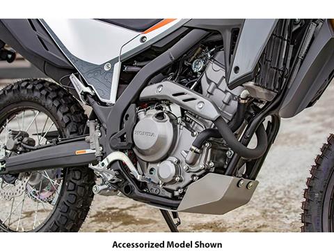 2024 Honda CRF300LS in Freeport, Illinois - Photo 3