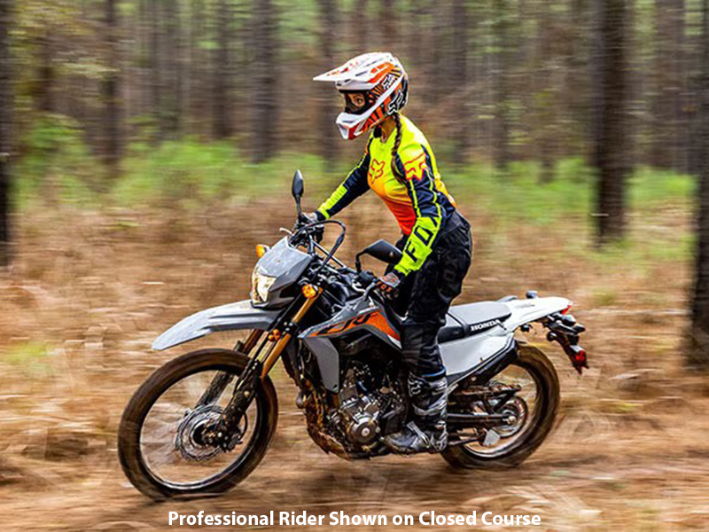 2024 Honda CRF300LS in Freeport, Illinois - Photo 4