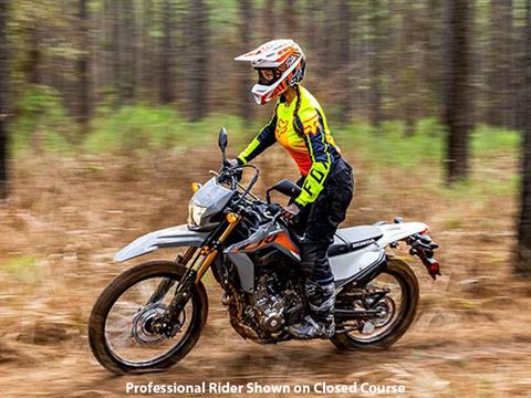 2024 Honda CRF300LS in Freeport, Illinois - Photo 4