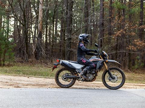 2024 Honda CRF300LS in Freeport, Illinois - Photo 5