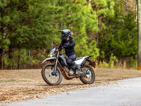 2024 Honda CRF300LS in Freeport, Illinois - Photo 6