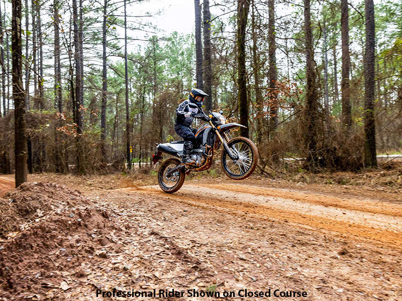 2024 Honda CRF300LS in Freeport, Illinois - Photo 8