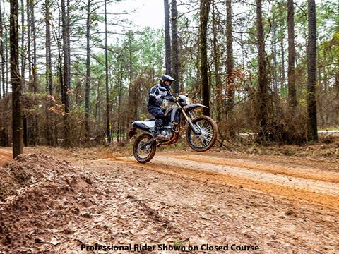 2024 Honda CRF300LS in Freeport, Illinois - Photo 8