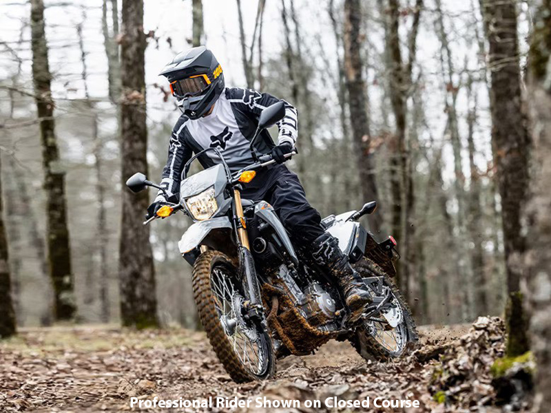 2024 Honda CRF300LS in Freeport, Illinois - Photo 10