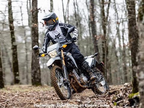 2024 Honda CRF300LS in Freeport, Illinois - Photo 10