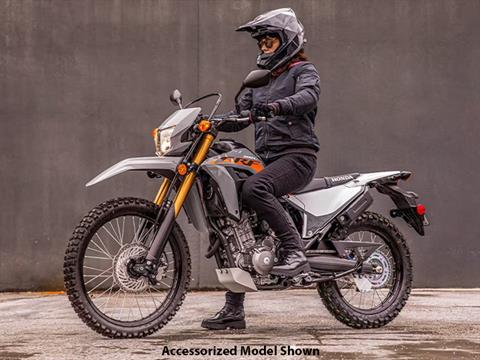 2024 Honda CRF300LS in Freeport, Illinois - Photo 12