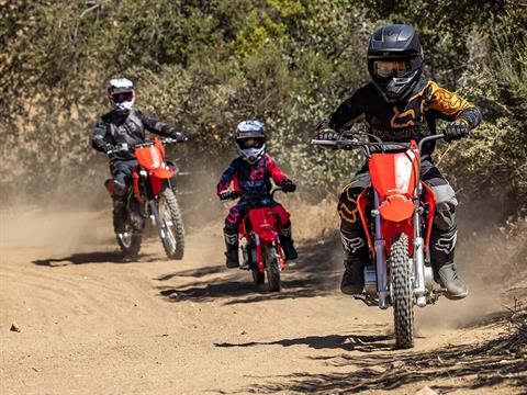 2026 Honda CRF110F in Aurora, Illinois - Photo 7