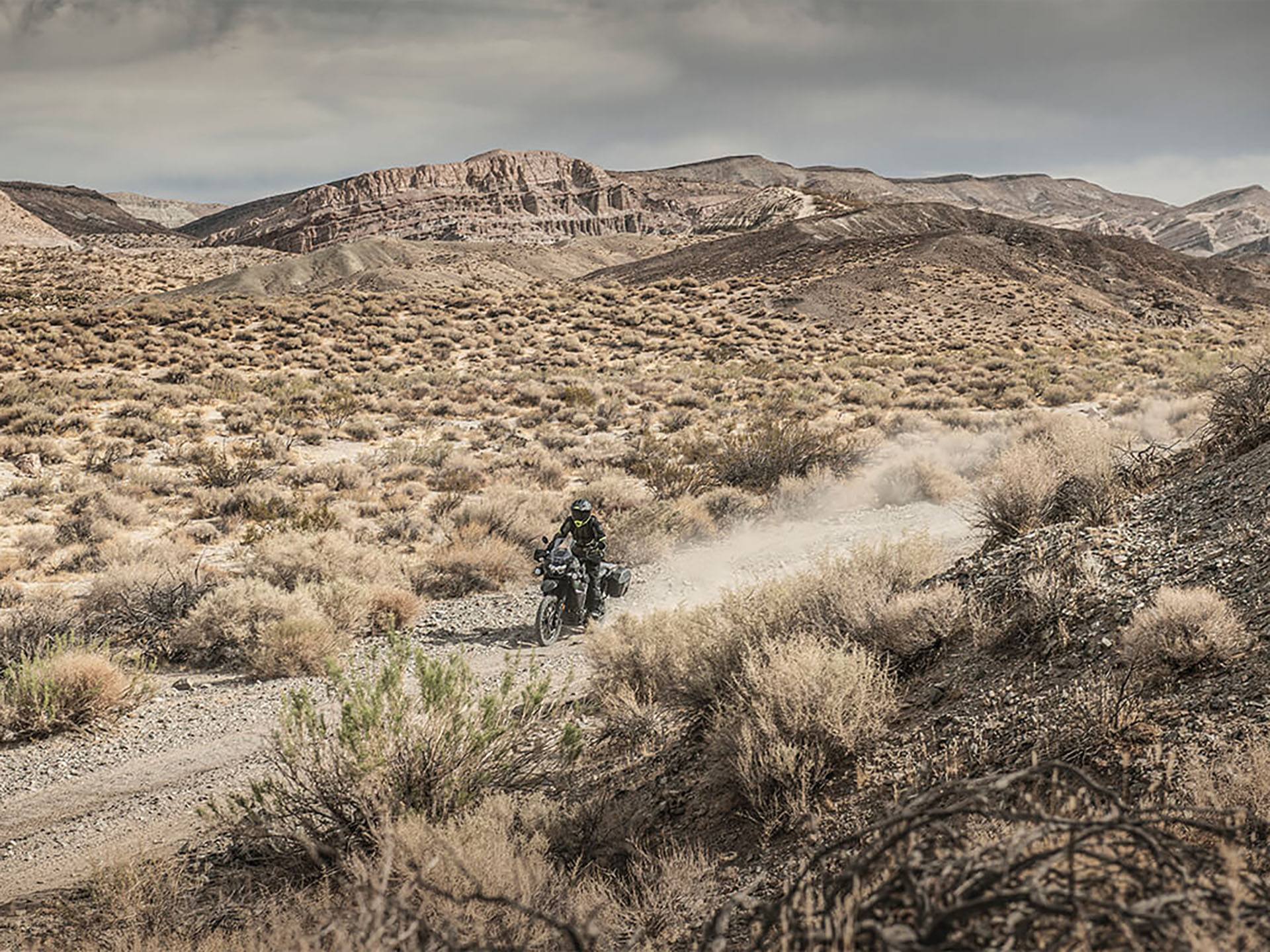 2022 Kawasaki KLR 650 Adventure ABS in Davenport, Iowa - Photo 7