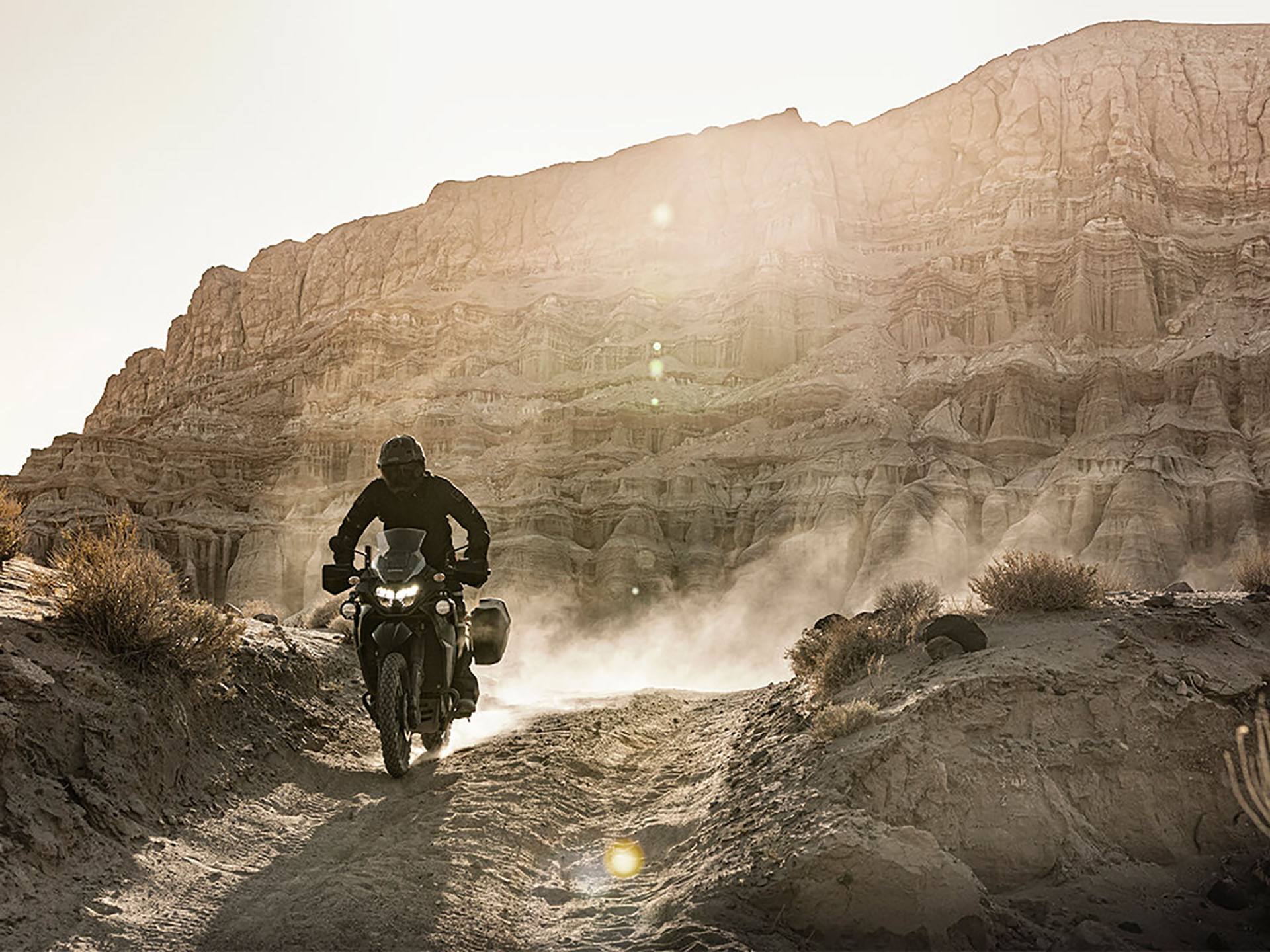 2022 Kawasaki KLR 650 Adventure ABS in Davenport, Iowa - Photo 12