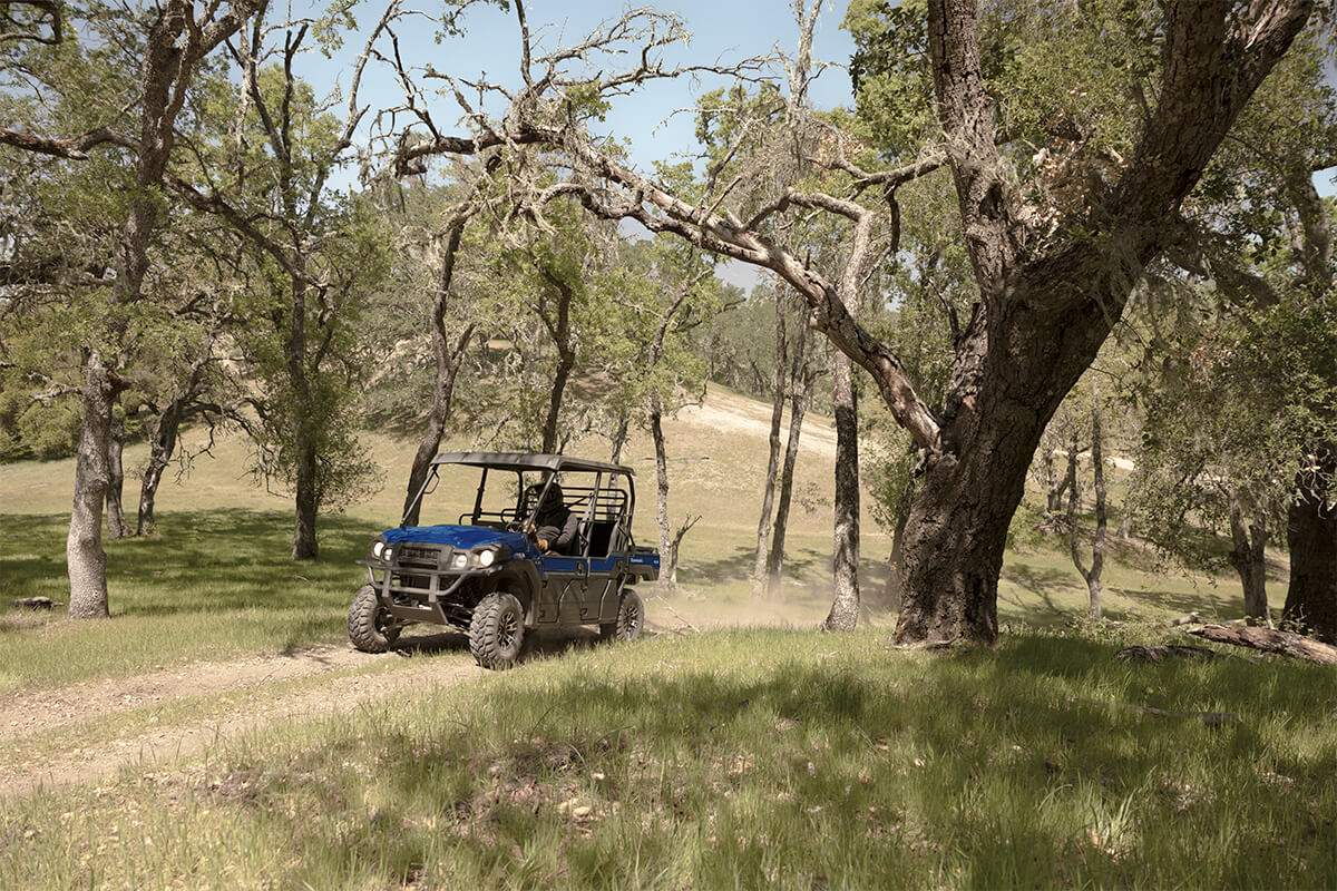 2023 Kawasaki MULE PRO-FXT EPS LE in Freeport, Illinois - Photo 4