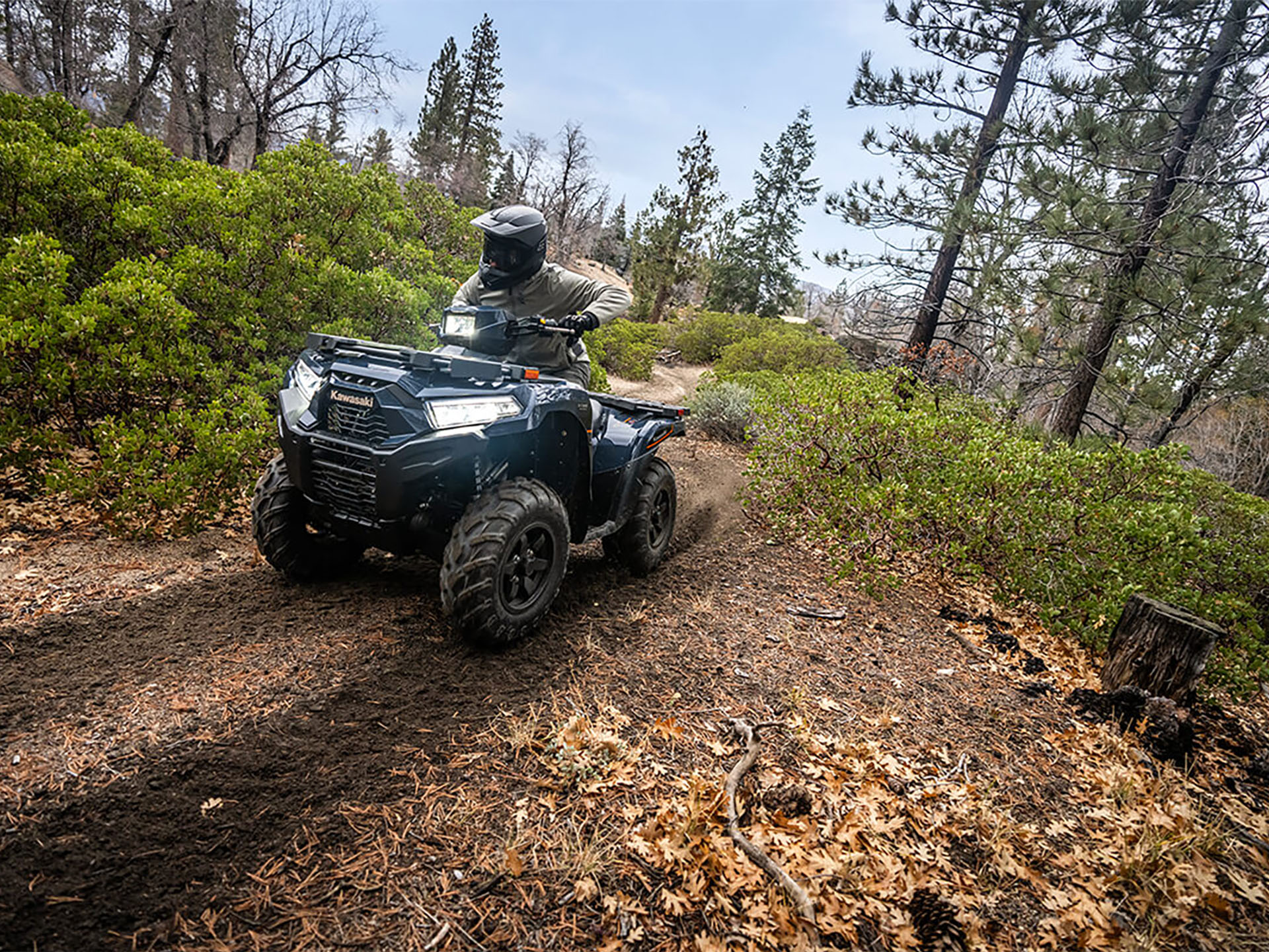 2025 Kawasaki Brute Force 750 EPS in Massillon, Ohio - Photo 18