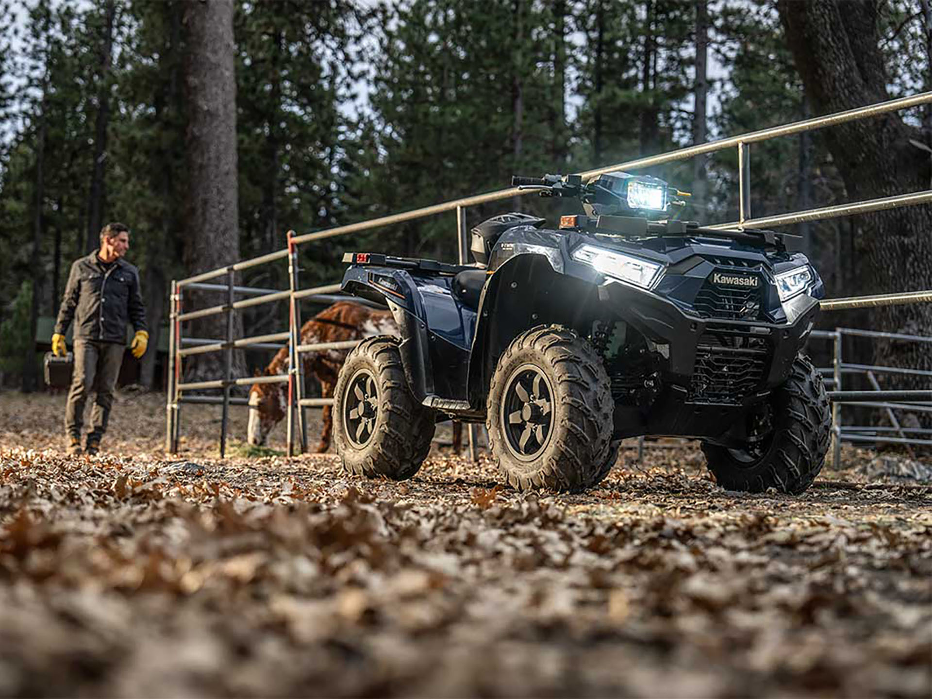 2025 Kawasaki Brute Force 750 EPS in Massillon, Ohio - Photo 19