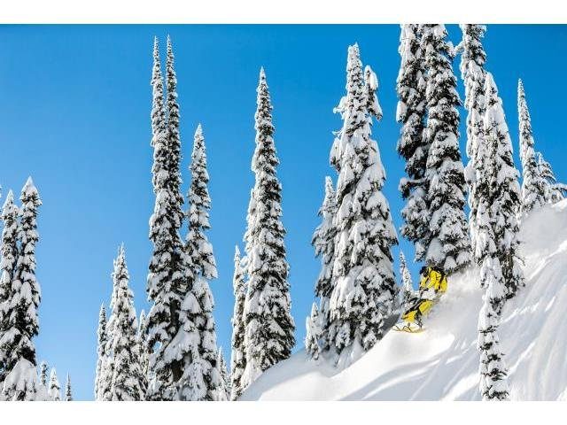2016 Ski-Doo Summit X T3 163 800R E-TEC, PowderMax 3.0" in Rexburg, Idaho - Photo 7