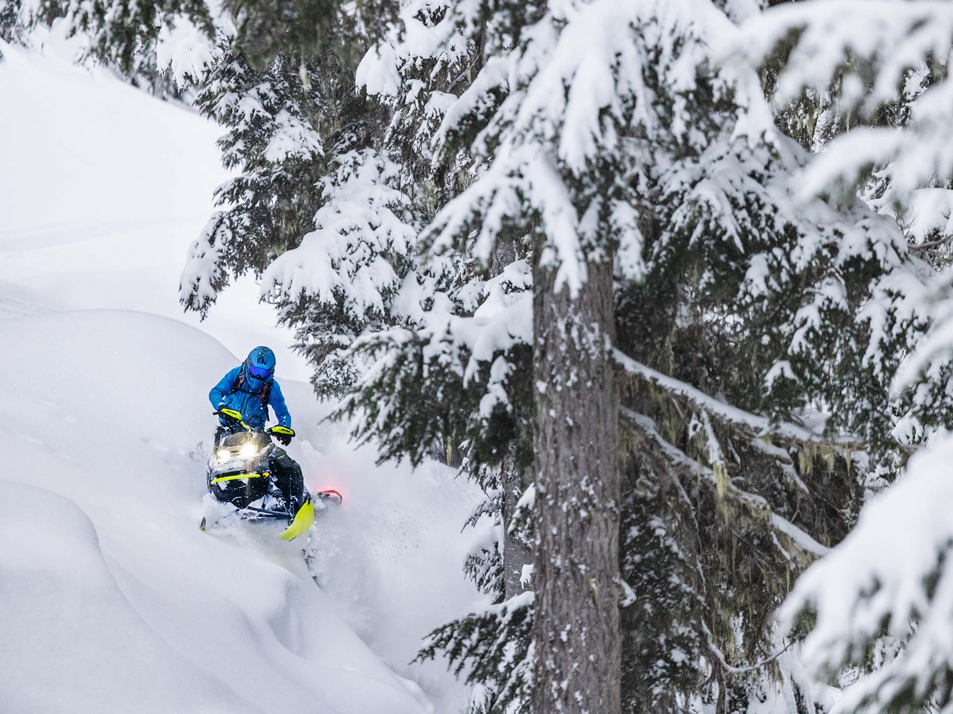 2023 Ski-Doo Summit X Expert 165 850 E-TEC Turbo R SHOT PowderMax X-Light 3.0 HAC in Rexburg, Idaho - Photo 9