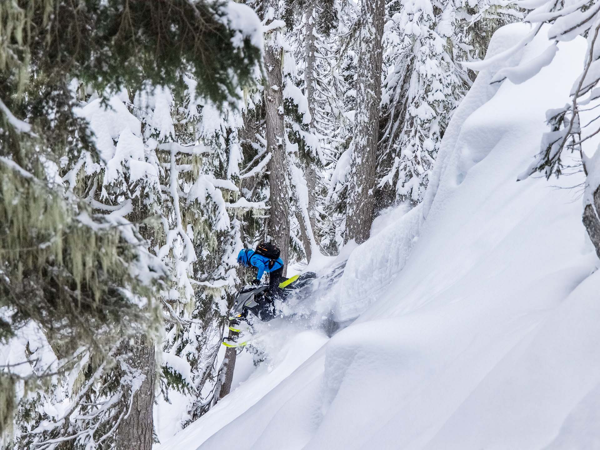 2023 Ski-Doo Summit X Expert 165 850 E-TEC Turbo R SHOT PowderMax X-Light 3.0 HAC in Rexburg, Idaho - Photo 11