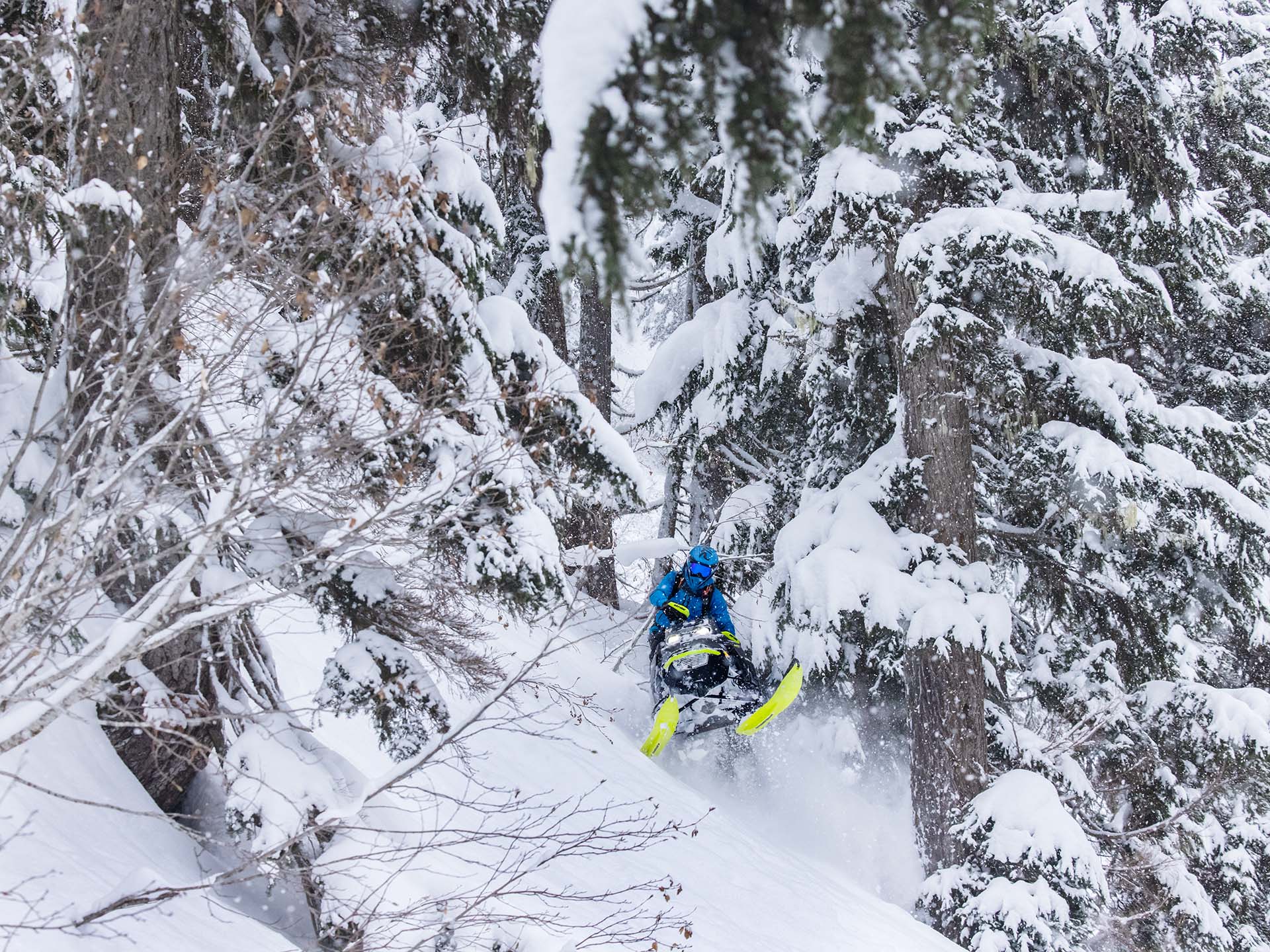 2023 Ski-Doo Summit X Expert 165 850 E-TEC Turbo R SHOT PowderMax X-Light 3.0 HAC in Rexburg, Idaho - Photo 13