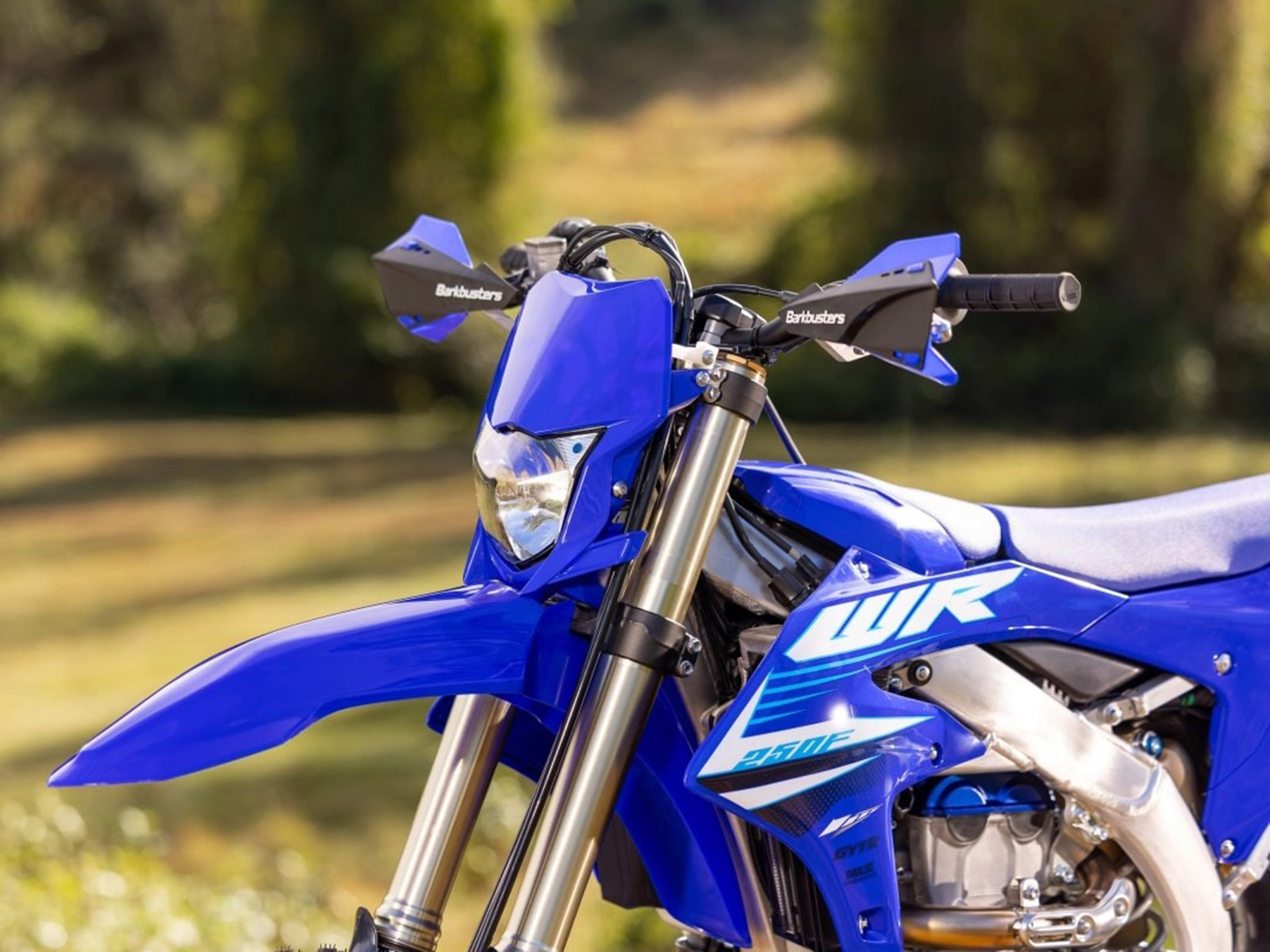 2025 Yamaha WR250F in Massillon, Ohio - Photo 12