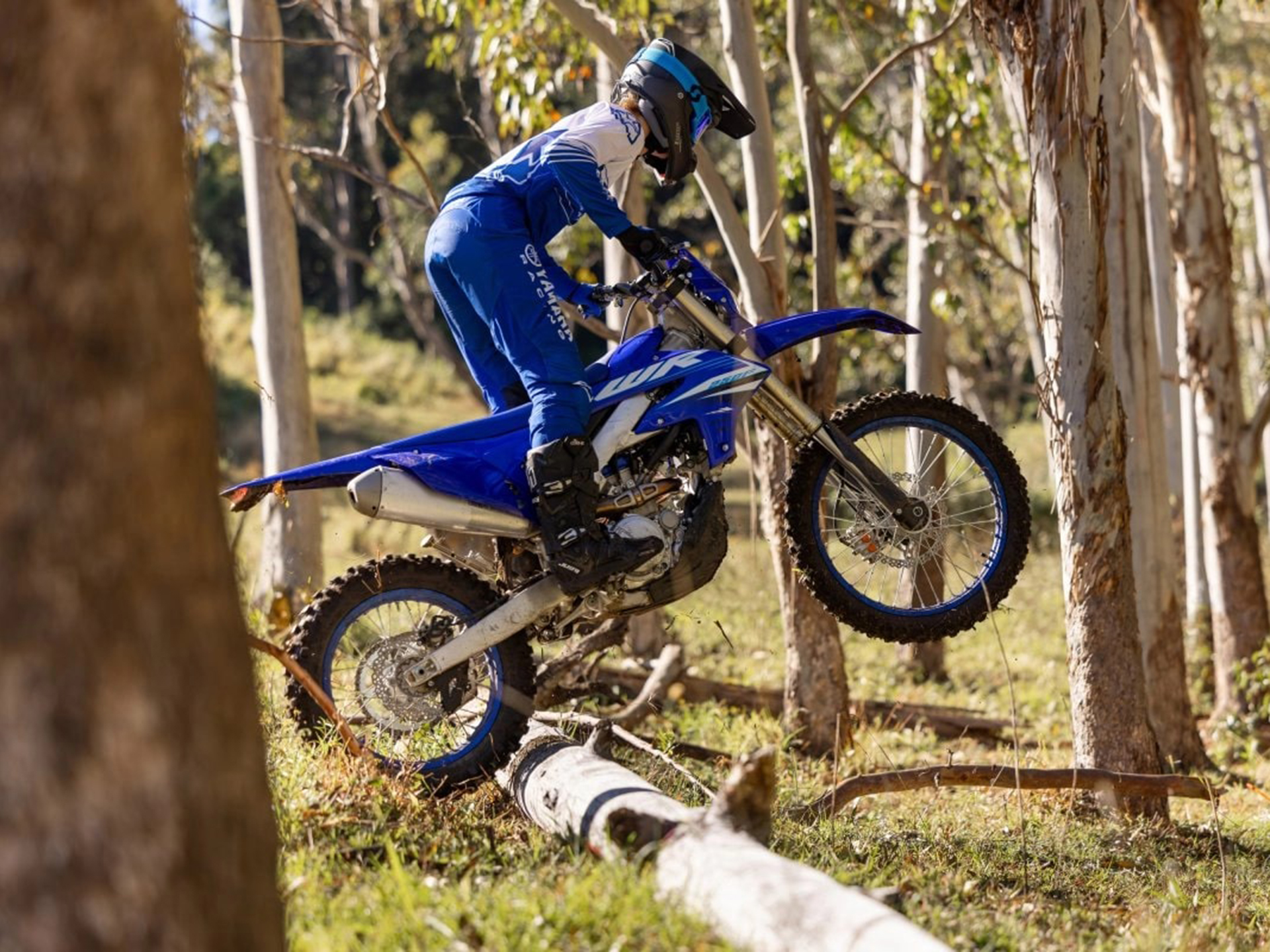 2025 Yamaha WR250F in Massillon, Ohio - Photo 15