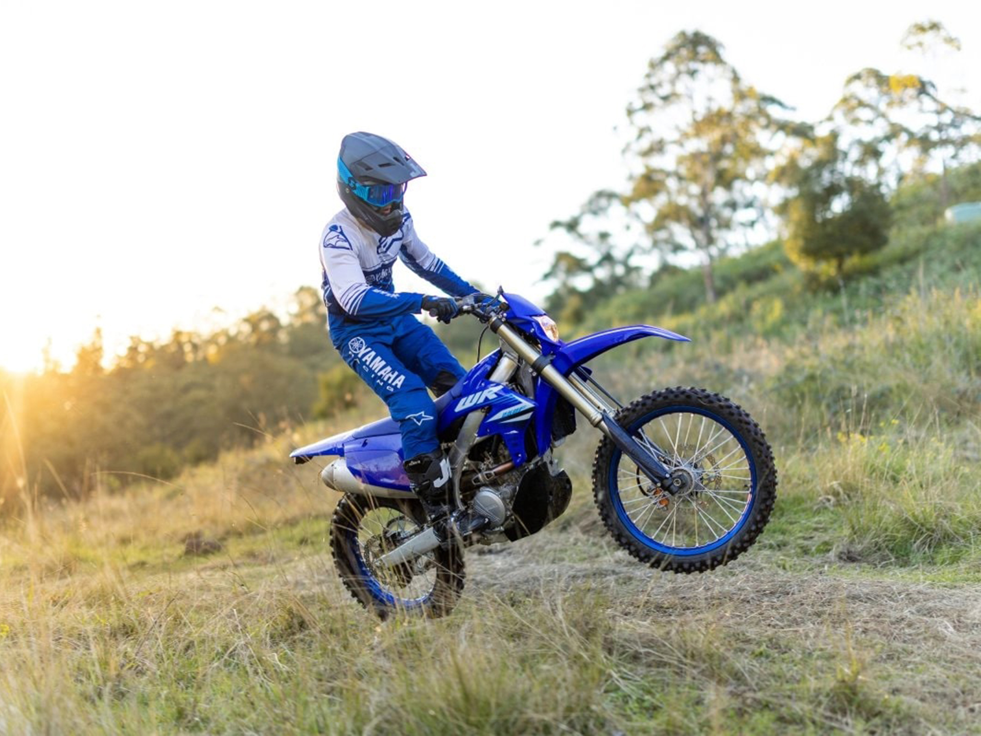 2025 Yamaha WR250F in Massillon, Ohio - Photo 17