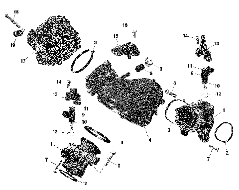 01- ROTAX - Air Intake Manifold And Throttle Body