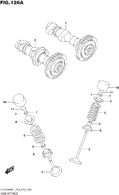 CAMSHAFT/VALVE