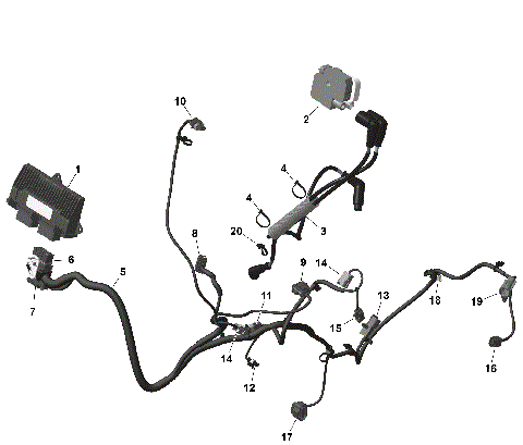01- ROTAX - Engine Harness And Electronic Module