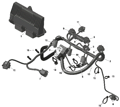 01- ROTAX - Engine Harness And Electronic Module