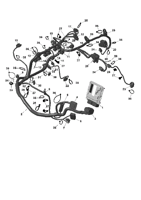 01- ROTAX - Engine Harness And Electronic Module
